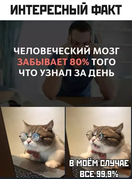 Смешная картинка №472854
