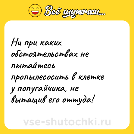 Шутка: Ни при каких обстоятельствах не пытайтесь пропылесосить в клетке у попугайчика, не вытащив его оттуда!