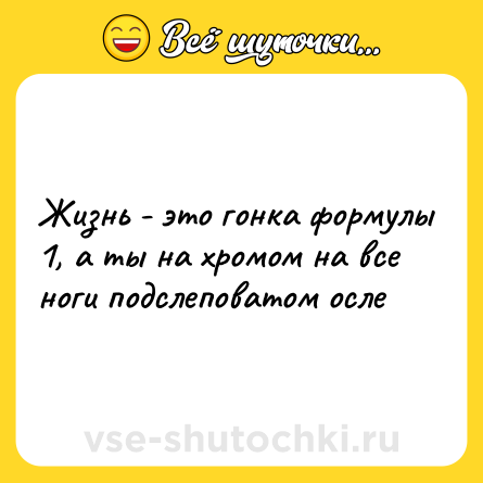Шутка: Жизнь - это гонка формулы 1, а ты на хромом на все ноги подслеповатом осле