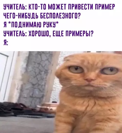 Смешная картинка №655493