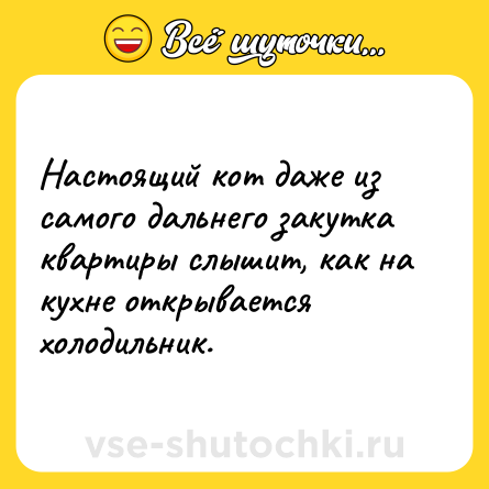 Шутка: Настоящий кот даже из самого дальнего закутка квартиры слышит, как на кухне открывается холодильник.