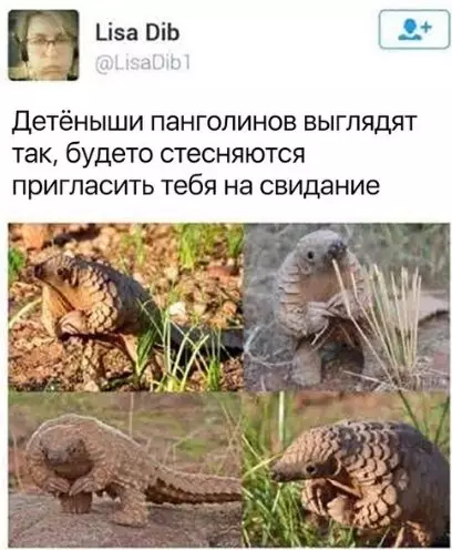 Смешная картинка №275976