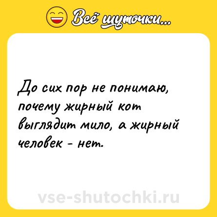 Шутка: До сих пор не понимаю, почему жирный кот выглядит мило, а жирный человек - нет.