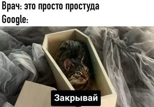 Смешная картинка №746042