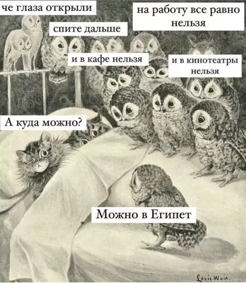 Смешная картинка №610700 Доброе утро