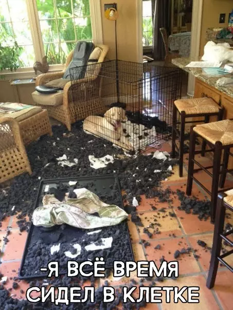 Смешная картинка №300551