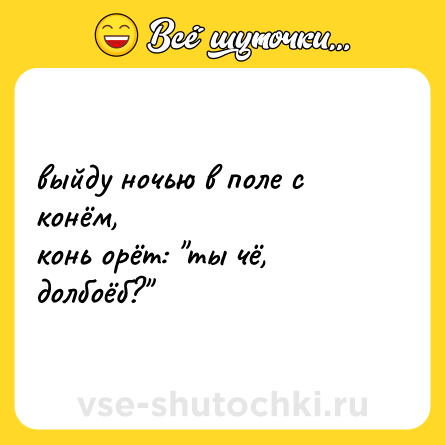 Шутка: выйду ночью в поле с конём, <br>конь орёт: 