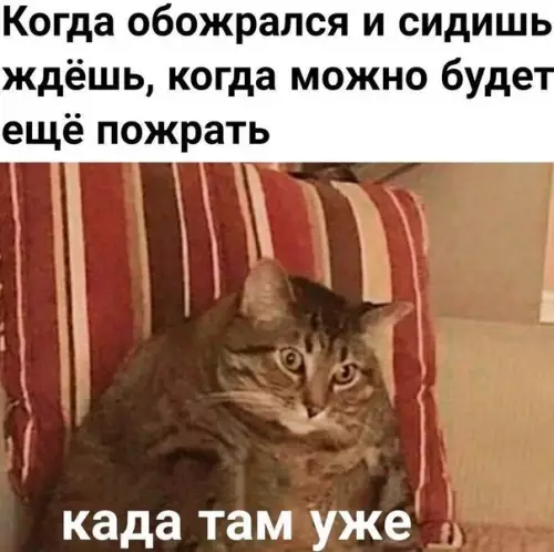 Смешная картинка №512218