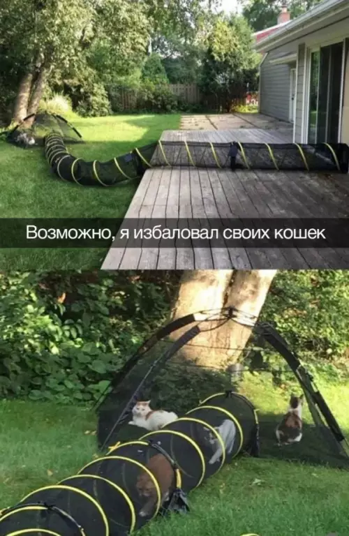Смешная картинка №656856