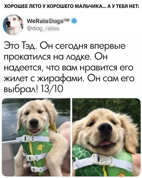 Смешная картинка №295783