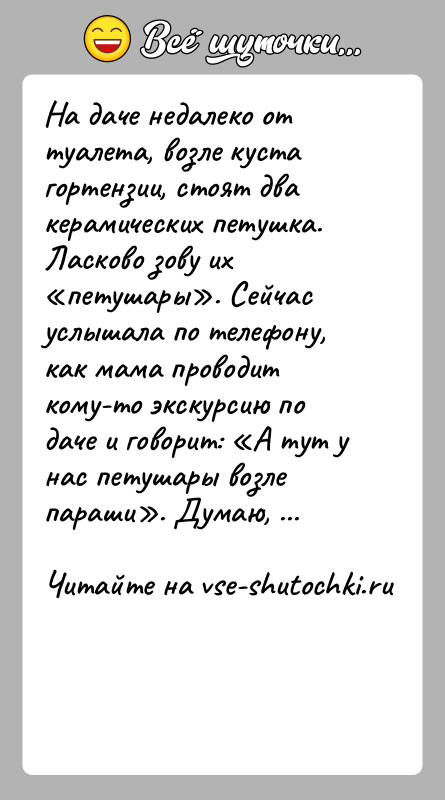 История: На даче недалеко от туалета, возле куста гортензии, стоят два керамических петушка. Ласково зову их петушары . Сейчас услышала по телефону,