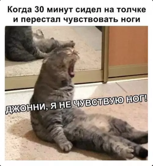 Смешная картинка №476939
