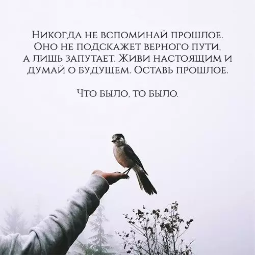 Смешная картинка №243095