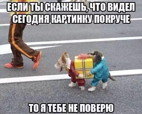 Смешная картинка №181349