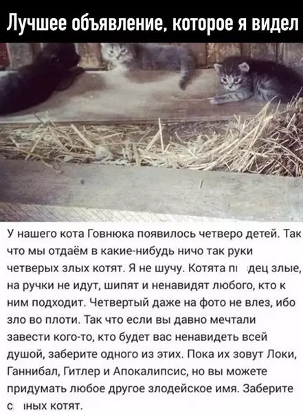Смешная картинка №531170