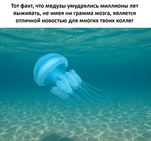 Коллеги вдохновляют! 😂🌊 - Тот факт, что медузы умудрялись миллионы лет выживать, не имея