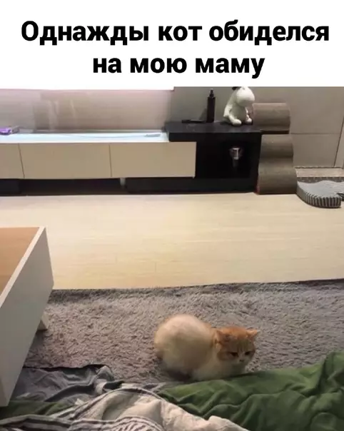 Смешная картинка №537105 Девушки ведут себя также