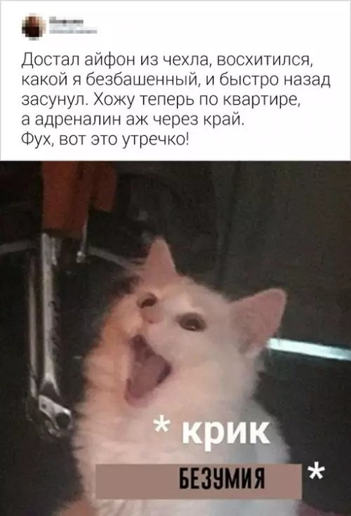Смешная картинка №706642