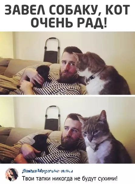 Смешная картинка №573307