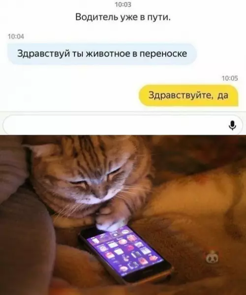 Смешная картинка №567494 Обычный случай в Яндекс.Такси:
