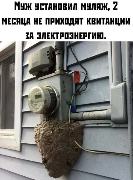 Смешная картинка №383094