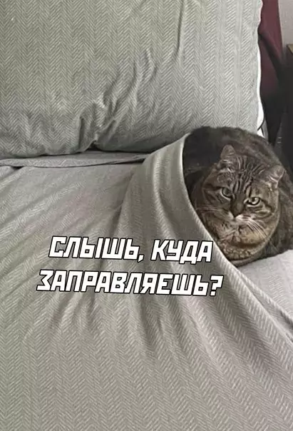 продолжение Смешная картинка №581335