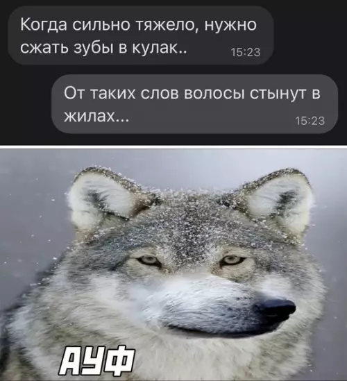 Смешная картинка №595983
