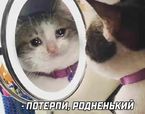 Смешная картинка №616477