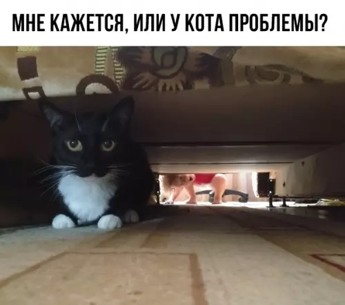 Смешная картинка №292799
