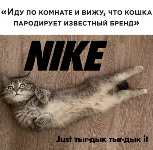 Смешная картинка №496464 кошки