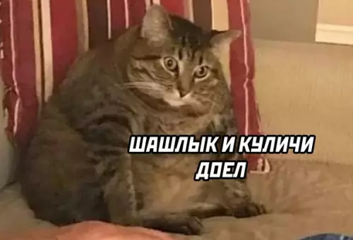 продолжение Смешная картинка №571744