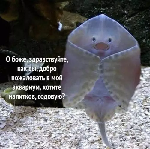 Смешная картинка №692502