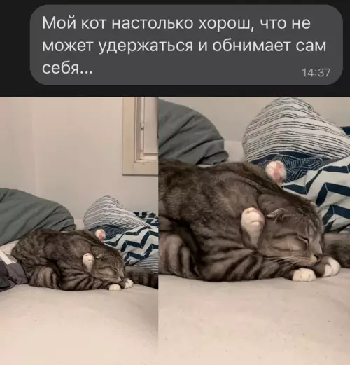 Смешная картинка №672439