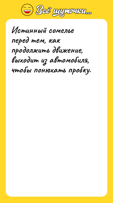 Истинный сомелье перед тем, как продолжить движение, выходит из автомобиля,