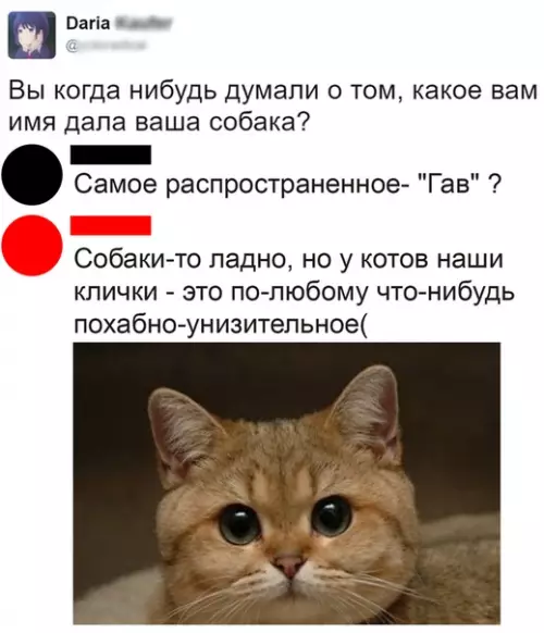 Смешная картинка №496318 Из pyбpики "Это интересно"