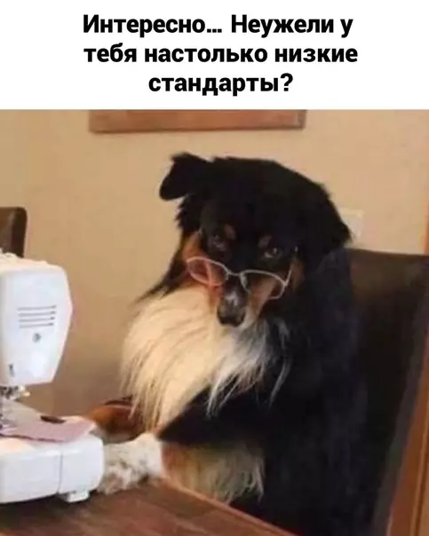 продолжение Смешная картинка №583314