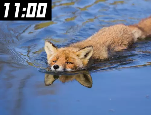 продолжение Смешная картинка №563249