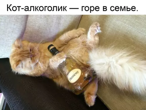 Смешная картинка №343571