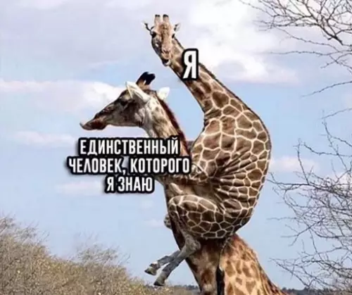 Смешная картинка №716446 Это я когда пришел в незнакомую мне компанию: