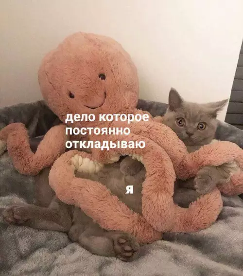Смешная картинка №726784 коты