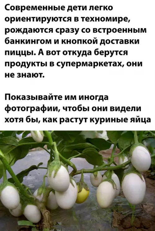 Смешная картинка №641009