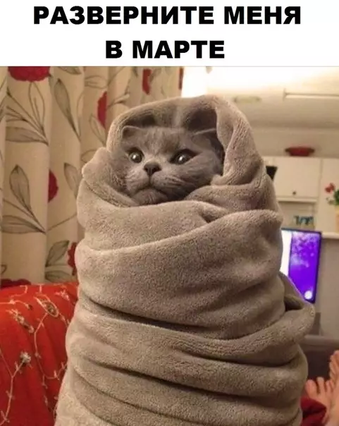 Смешная картинка №310459