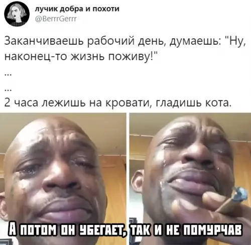 Смешная картинка №388404
