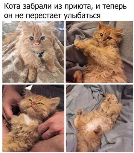 Смешная картинка №303410 ?