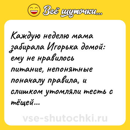 Шутка: Каждую неделю мама забирала Игорька домой: ему не нравилось питание, непонятные поначалу правила, и слишком утомляли тесть с тёщей...
