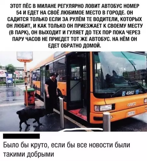 Смешная картинка №484194 Минутка доброты:3