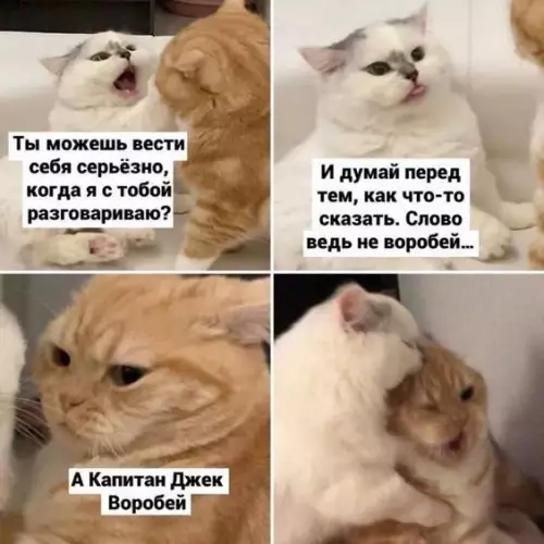 Смешная картинка №706763