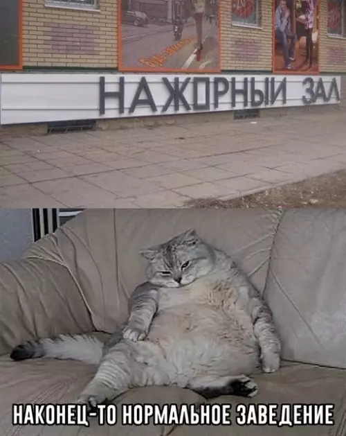 Смешная картинка №664311