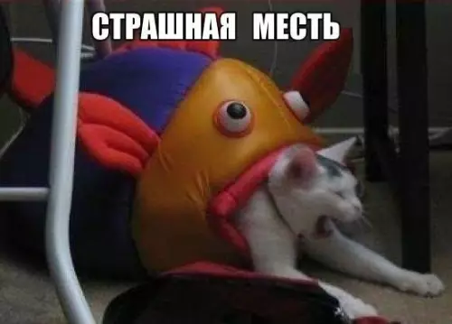 Смешная картинка №229226