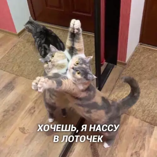 Смешная картинка №410999 Хочешь?!